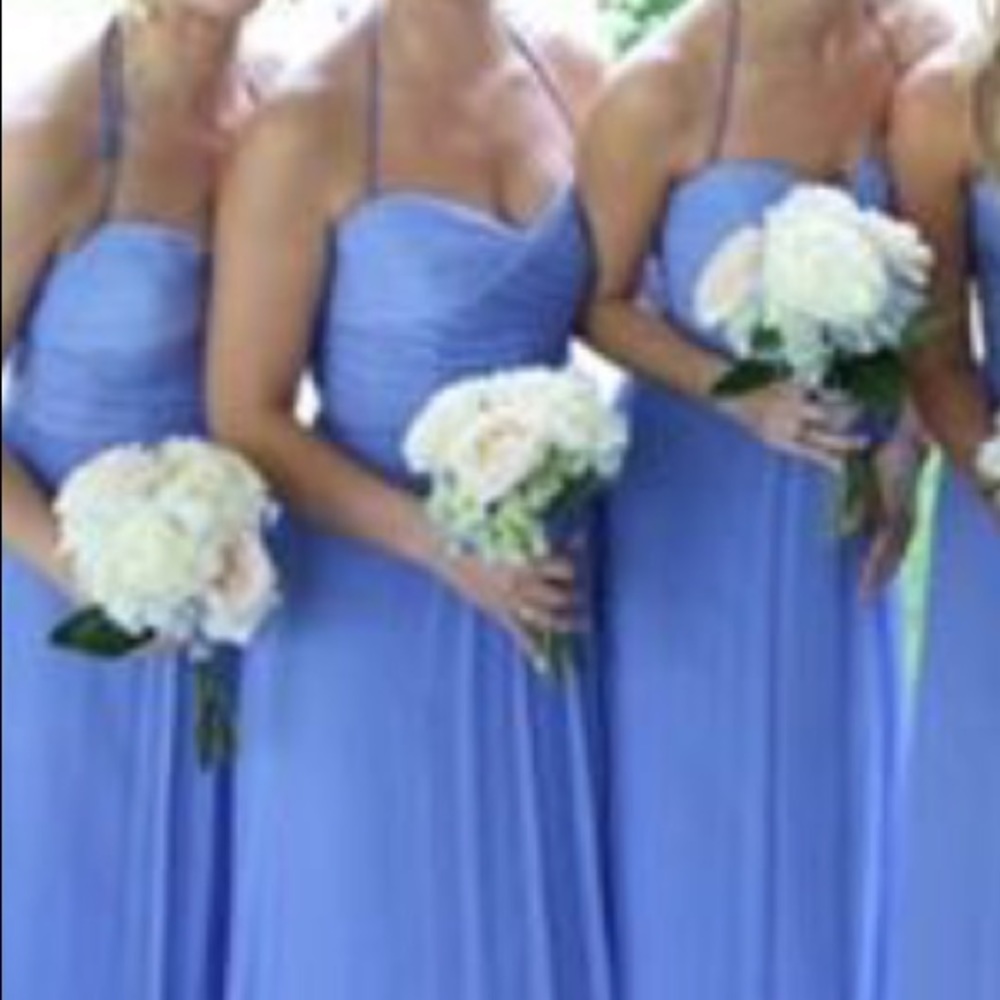 Amsale Hydrangea Crinkle Chiffon Gown